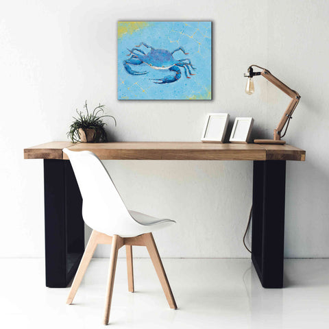 Image of 'Blue Crab V' by Phyllis Adams, Canvas Wall Art,24 x 20