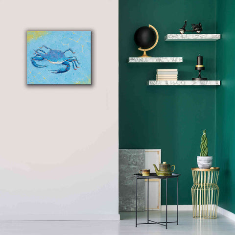 Image of 'Blue Crab V' by Phyllis Adams, Canvas Wall Art,24 x 20
