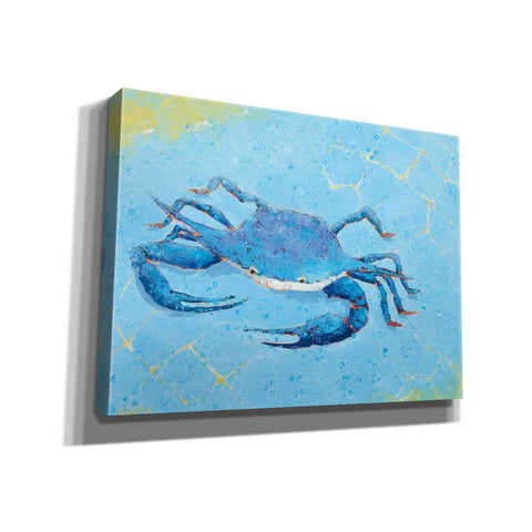 Image of 'Blue Crab V' by Phyllis Adams, Canvas Wall Art