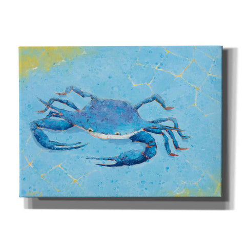 Image of 'Blue Crab V' by Phyllis Adams, Canvas Wall Art