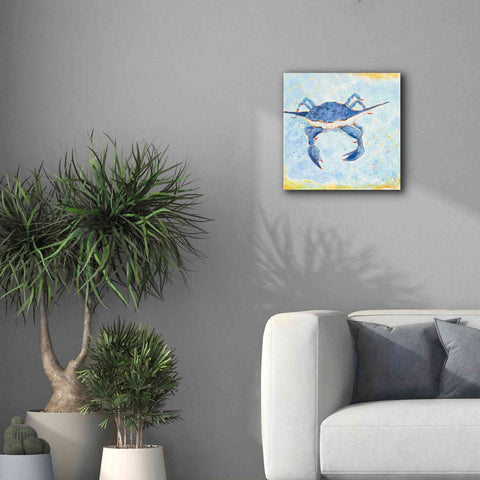 Image of 'Blue Crab VI' by Phyllis Adams, Canvas Wall Art,18 x 18