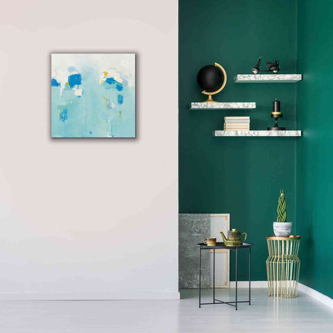 Image of 'Splash' by Phyllis Adams, Canvas Wall Art,26 x 26