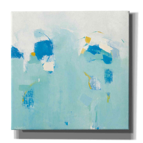 Image of 'Splash' by Phyllis Adams, Canvas Wall Art