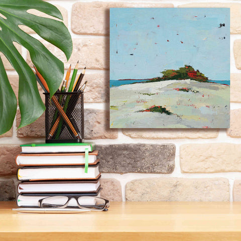 Image of 'Splash Pink' by Phyllis Adams, Canvas Wall Art,12 x 12