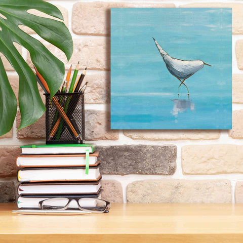 Image of 'Egret I Bright' by Phyllis Adams, Canvas Wall Art,12 x 12