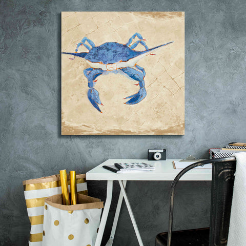 Image of 'Blue Crab VI Neutral' by Phyllis Adams, Canvas Wall Art,26 x 26