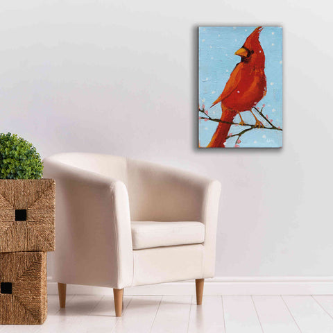 Image of 'Cardinal II' by Phyllis Adams, Canvas Wall Art,18 x 26