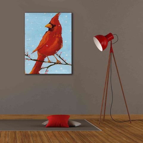 Image of 'Cardinal II' by Phyllis Adams, Canvas Wall Art,26 x 34