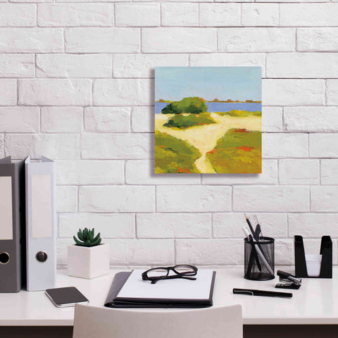 Image of 'Path to the Beach' by Phyllis Adams, Canvas Wall Art,12 x 12