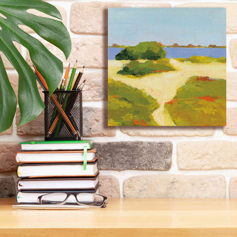 Image of 'Path to the Beach' by Phyllis Adams, Canvas Wall Art,12 x 12
