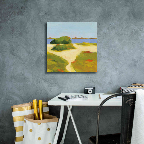 Image of 'Path to the Beach' by Phyllis Adams, Canvas Wall Art,18 x 18