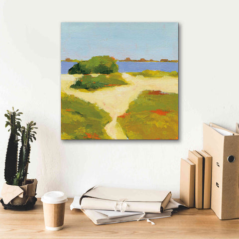 Image of 'Path to the Beach' by Phyllis Adams, Canvas Wall Art,18 x 18