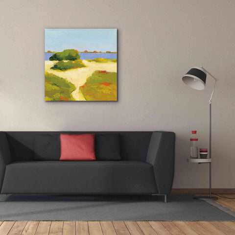 Image of 'Path to the Beach' by Phyllis Adams, Canvas Wall Art,37 x 37