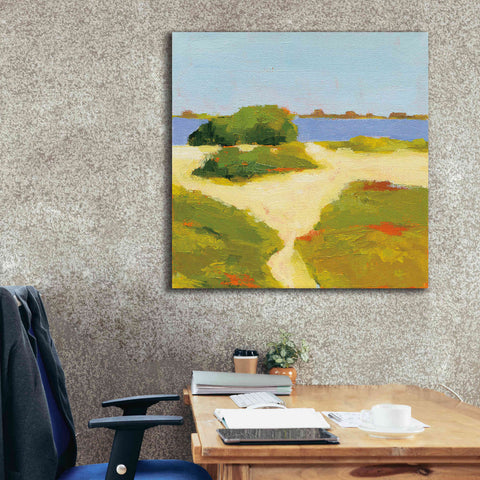 Image of 'Path to the Beach' by Phyllis Adams, Canvas Wall Art,37 x 37