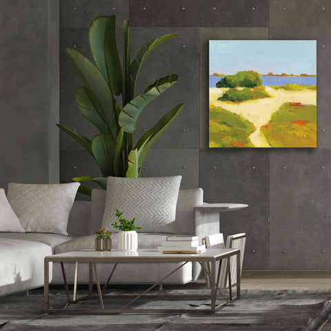 Image of 'Path to the Beach' by Phyllis Adams, Canvas Wall Art,37 x 37