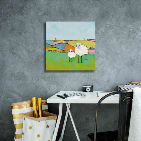 Image of 'Sheep in the Meadow II' by Phyllis Adams, Canvas Wall Art,18 x 18