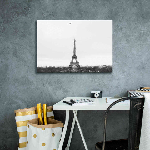 Image of 'A Birds View of Paris' by Nathan Larson, Canvas Wall Art,26 x 18