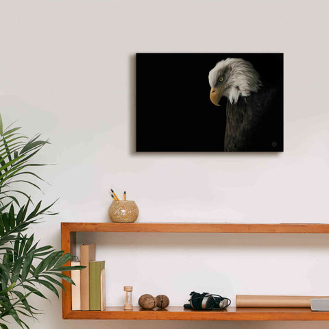 Image of 'Eagle Bow' by Nathan Larson, Canvas Wall Art,18 x 12