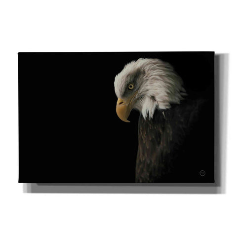 Image of 'Eagle Bow' by Nathan Larson, Canvas Wall Art