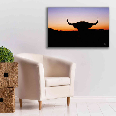 Image of 'Bull Set' by Nathan Larson, Canvas Wall Art,40 x 26