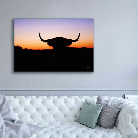 Image of 'Bull Set' by Nathan Larson, Canvas Wall Art,60 x 40