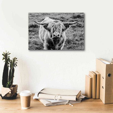 Image of 'Highland Cow Staring Contest' by Nathan Larson, Canvas Wall Art,18 x 12