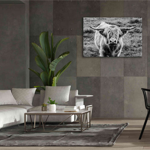 Image of 'Highland Cow Staring Contest' by Nathan Larson, Canvas Wall Art,60 x 40