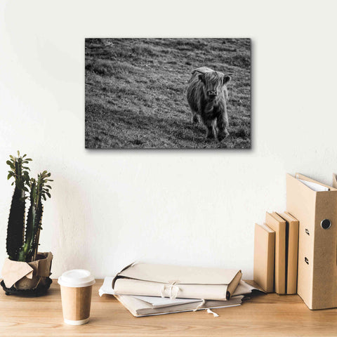 Image of 'Highland Cow Calf in the Wind' by Nathan Larson, Canvas Wall Art,18 x 12