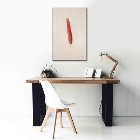 Image of 'Floating Feathers II' by Nathan Larson, Canvas Wall Art,26 x 40
