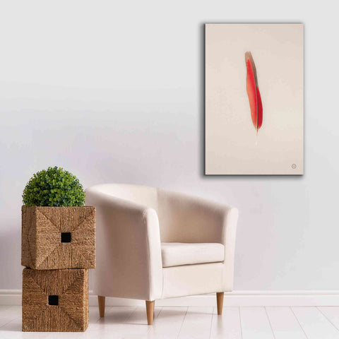 Image of 'Floating Feathers II' by Nathan Larson, Canvas Wall Art,26 x 40