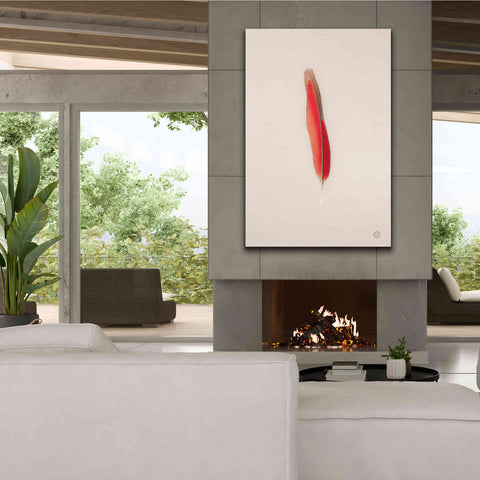 Image of 'Floating Feathers II' by Nathan Larson, Canvas Wall Art,40 x 60