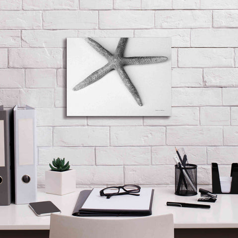 Image of 'Starfish Detail' by Debra Van Swearingen, Canvas Wall Art,16 x 12