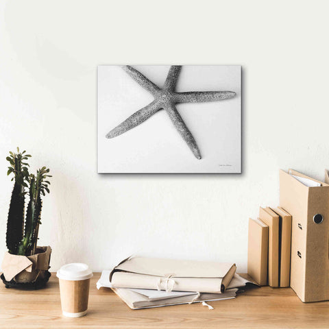 Image of 'Starfish Detail' by Debra Van Swearingen, Canvas Wall Art,16 x 12
