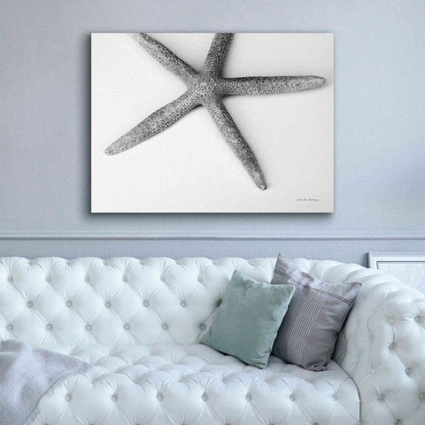 Image of 'Starfish Detail' by Debra Van Swearingen, Canvas Wall Art,54 x 40