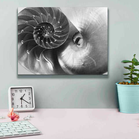 Image of 'Nautilus Yin Yang' by Debra Van Swearingen, Canvas Wall Art,16 x 12
