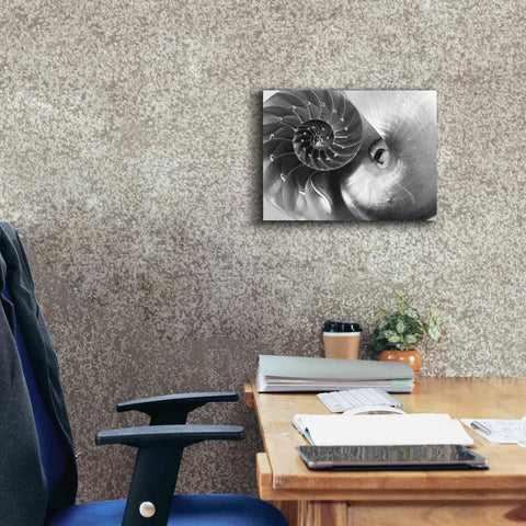 Image of 'Nautilus Yin Yang' by Debra Van Swearingen, Canvas Wall Art,16 x 12