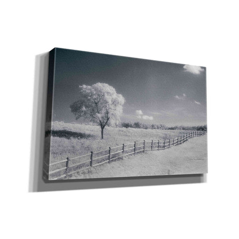 Image of 'Trees Fence I' by Debra Van Swearingen, Canvas Wall Art,18x12x1.1x0,26x18x1.1x0,40x26x1.74x0,60x40x1.74x0