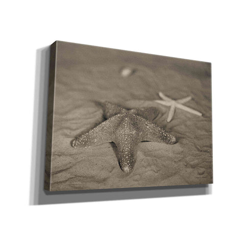 Image of 'Starfish II' by Debra Van Swearingen, Canvas Wall Art,16x12x1.1x0,26x18x1.1x0,34x26x1.74x0,54x40x1.74x0