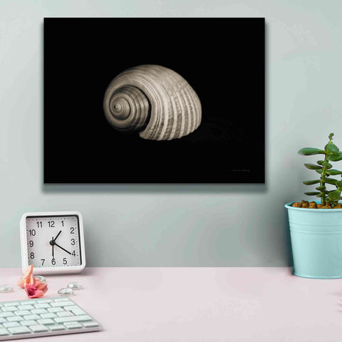 Image of 'Tonna' by Debra Van Swearingen, Canvas Wall Art,16 x 12