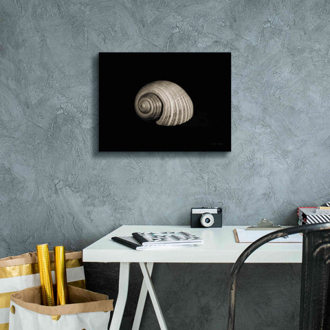 Image of 'Tonna' by Debra Van Swearingen, Canvas Wall Art,16 x 12