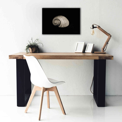 Image of 'Tonna' by Debra Van Swearingen, Canvas Wall Art,26 x 18