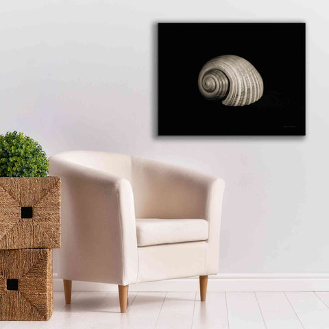 Image of 'Tonna' by Debra Van Swearingen, Canvas Wall Art,34 x 26
