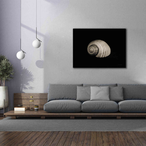 Image of 'Tonna' by Debra Van Swearingen, Canvas Wall Art,54 x 40