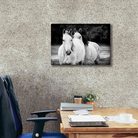 Image of 'Two Wild Horses BW' by Debra Van Swearingen, Canvas Wall Art,26 x 18