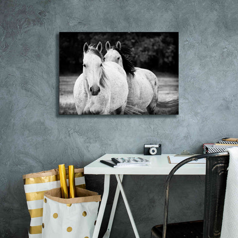 Image of 'Two Wild Horses BW' by Debra Van Swearingen, Canvas Wall Art,26 x 18