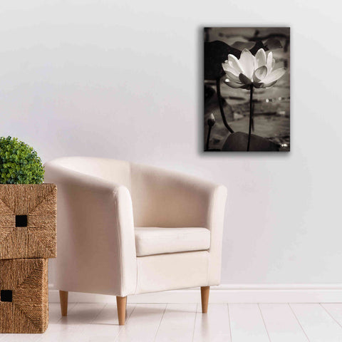 Image of 'Lotus Flower IX' by Debra Van Swearingen, Canvas Wall Art,18 x 26