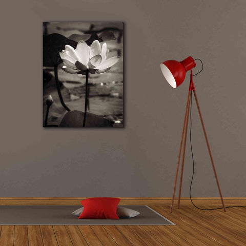 Image of 'Lotus Flower IX' by Debra Van Swearingen, Canvas Wall Art,26 x 34
