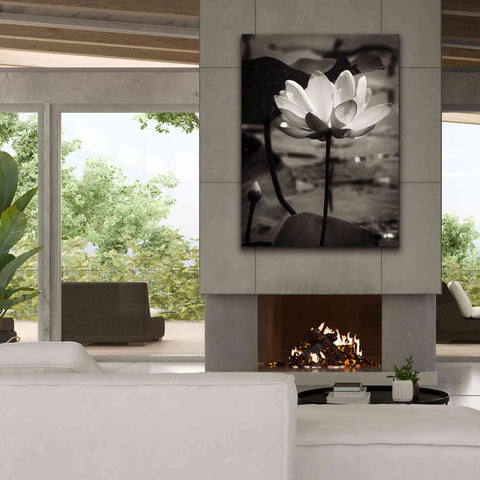 Image of 'Lotus Flower IX' by Debra Van Swearingen, Canvas Wall Art,40 x 54