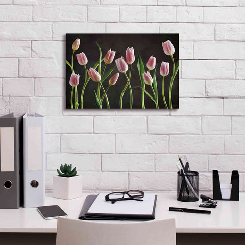 Image of 'Spring Tulips IX' by Debra Van Swearingen, Canvas Wall Art,18 x 12