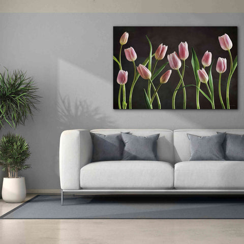 Image of 'Spring Tulips IX' by Debra Van Swearingen, Canvas Wall Art,60 x 40